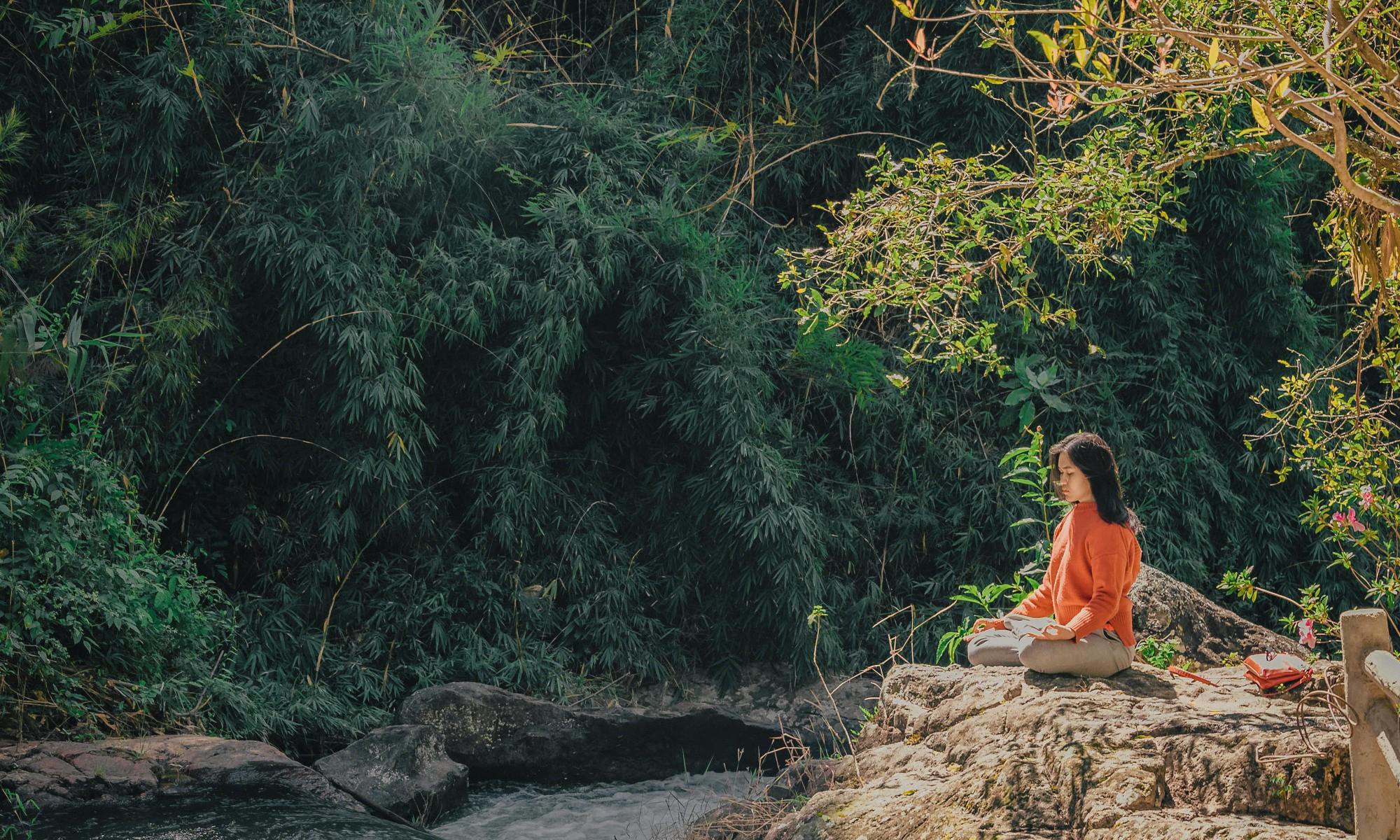 Forest Bathing Meditation